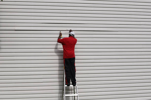 Best Steel Siding Installation  in Warren, MI